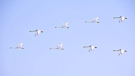 黑白手绘风《TOEM》今日发售 首发特惠促销